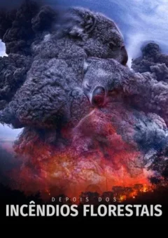 Depois dos Incêndios Florestais